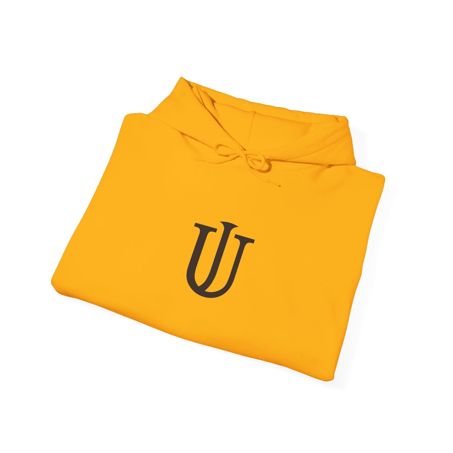 Heavy Blend™ Hooded Sweatshirt