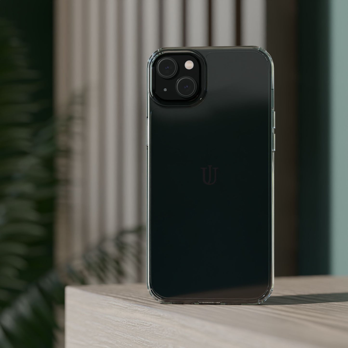 iPhone 14 Clear Cases