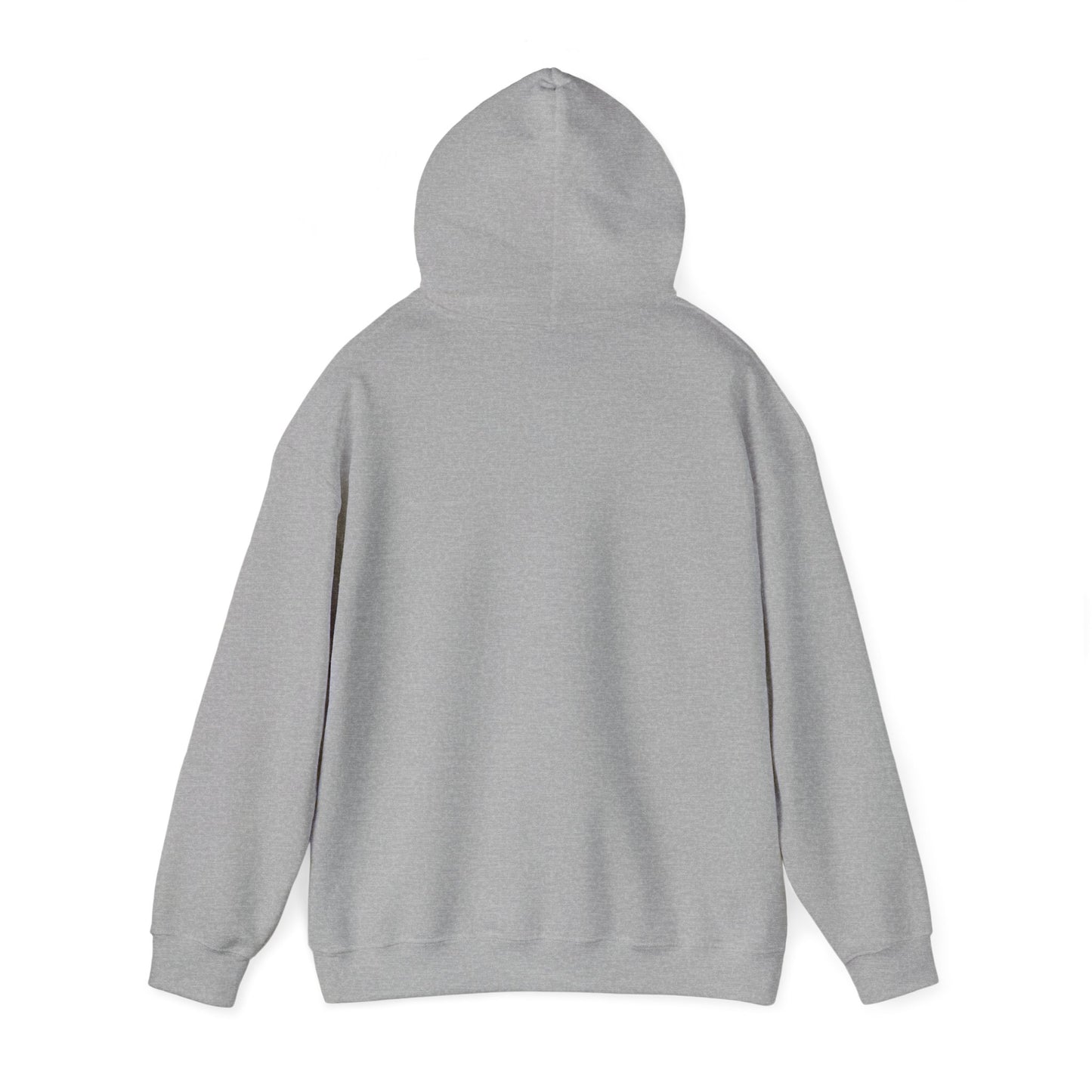 Men's Heavy Blend™ Hooded Sweatshirt